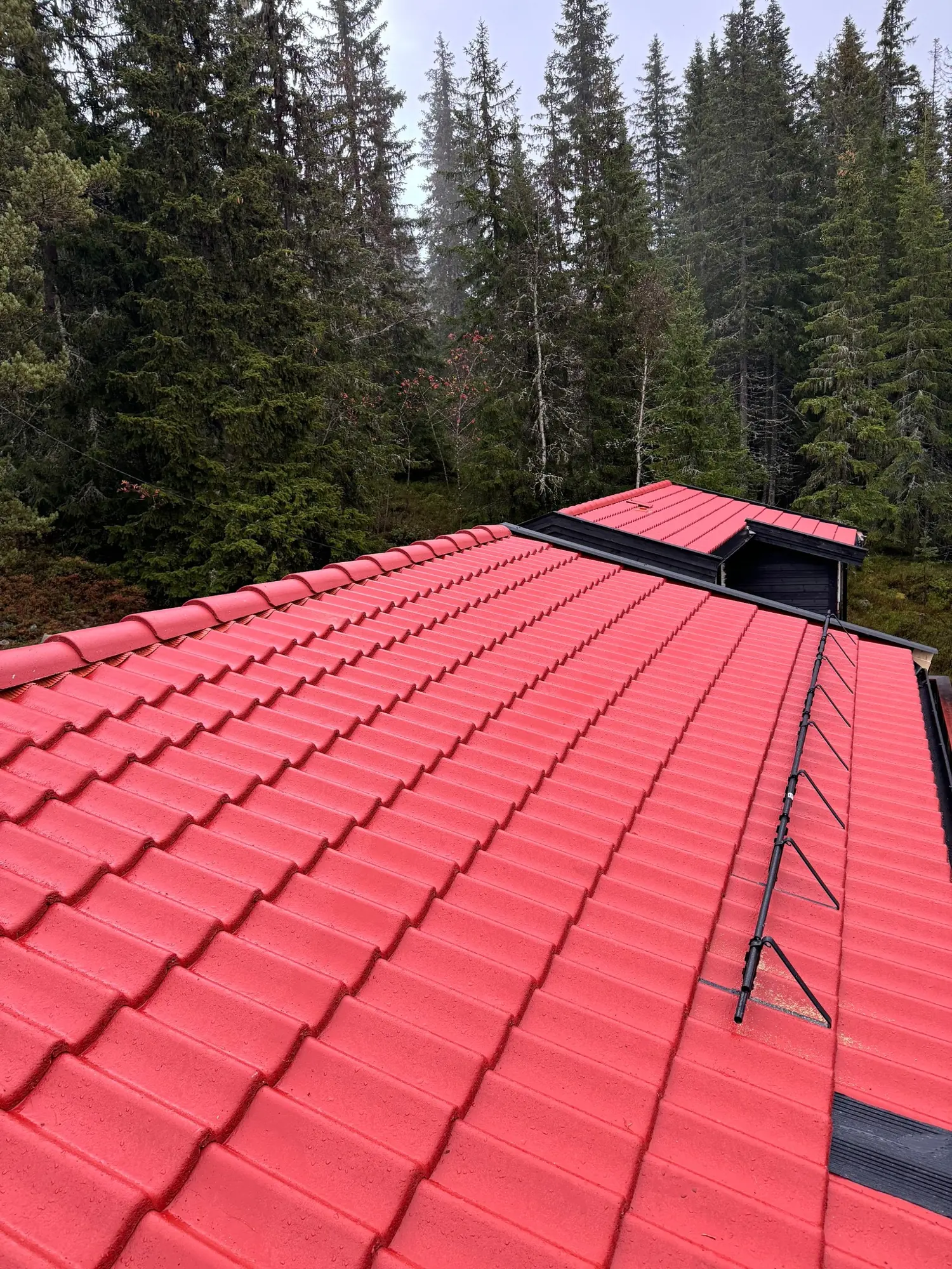Rødt ståltak på en hytte i skogen, sett fra mønet